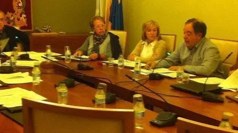 Ple ordinari març 2'14
