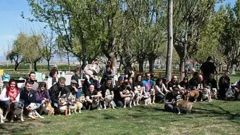 Trobada de Buldog (bona)Portada