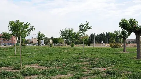 Zona verda del parc de l'ermita de Sant Roc del Plau d'Anglesola.