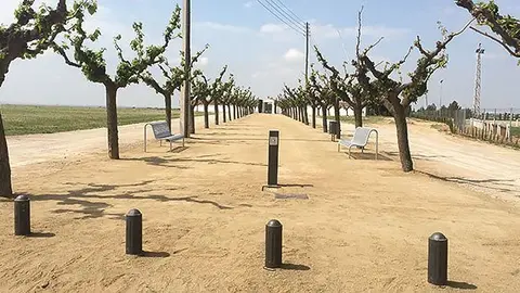 Imatge del Passeig del Cementiri de Miralcamp amb el nou mobiliari