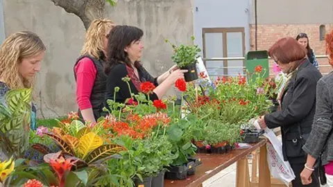L'associació  de Dones de Sidamon, va posar a l'abast del públic una varietat de plantes.