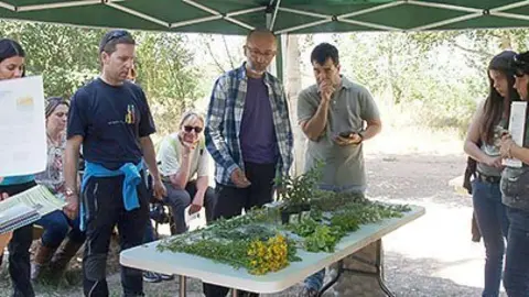 Josep Maria Vilaró mostra als participants les plantes i les seves propietats.