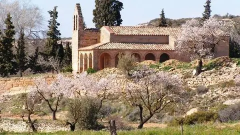 Foto ametllers florits