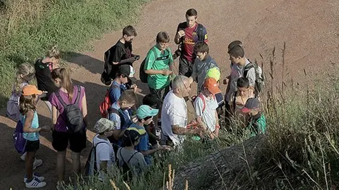 Activitats dels joves que participen en la Setmana Natural de l'Estany.