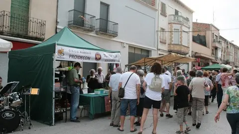 Mercat del fart (12)