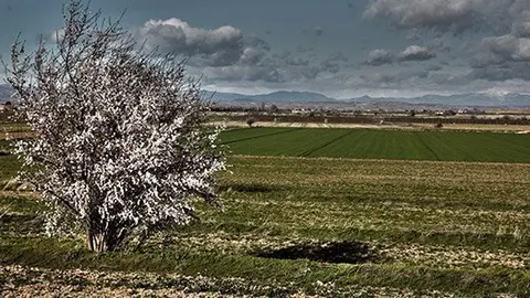 PladUrgell_MG_9331PORTADA
