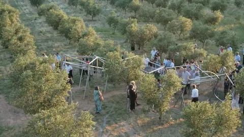 Susana Solano a la Vinya dels Artistes de la Pobla de Cérvoles