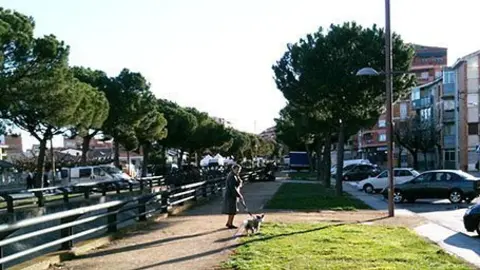 Propietaris de gossos passejant els animals per l'avinguda del Canal.