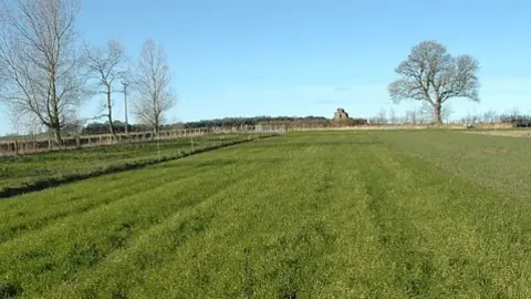 Cultius captadors de nitrogen.