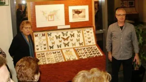 Exposició El món de les papallones a Juneda