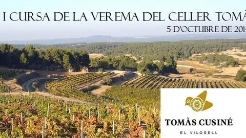 Cartell promocional de la Cursa de la Verema del Celler Tomàs Cusiné.