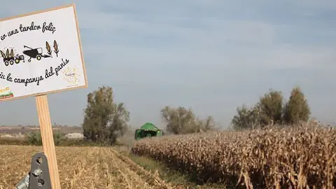 El cartell de promoció de la campanya Per una tardor feliç, viu la campanya del panís,