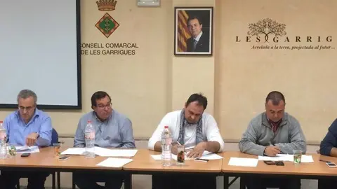 20141118_Foto consell alcaldes