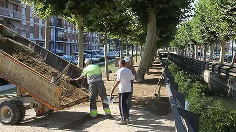 Treballs de la Brigada Municipal en l'esporga dels arbres i zones verdes.