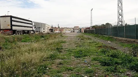 Els terrenys en els que s'habilitarà el nou camp de futbol del palau d'Anglesola.