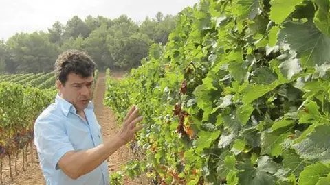 Tomàs Cusiné en les finques del celler de la seva propietat al Vilosell, les Garrigues.