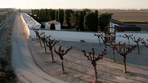 Imatge de les taulades dels ninxos que s'estan restaurant.