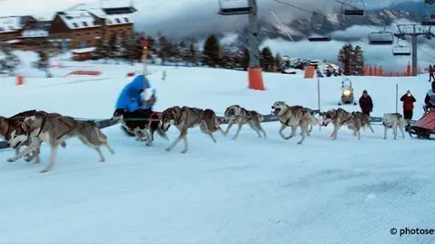 Campionat de Catalunya de Mushing neu
