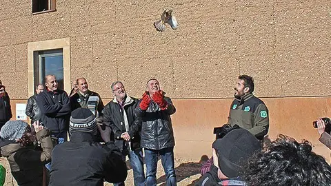 Alliberament d'aus en el Dia Mundial de les Zones Humides a Cal Sinén.