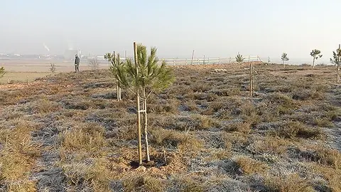 Imatge del terme de Bell-lloc des dels Tossalets.