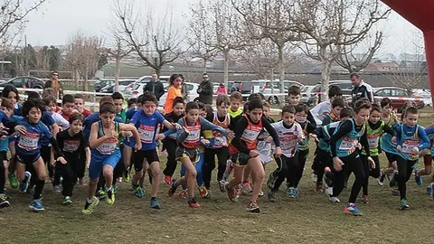 Categoria benjamí del Cros Ciutat de Mollerussa, memorial Josep Ignasi Culleré.