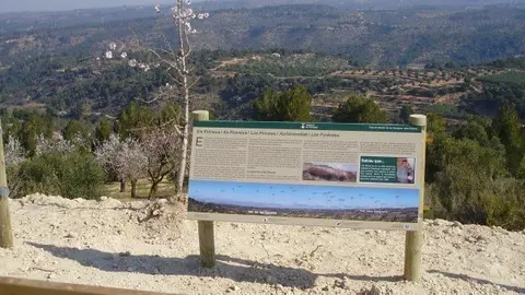 Foto Mirador Pirineus 1