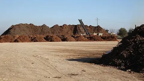 Restes vegetal en la parcel·la de Nufri en el Palau d'Anglesola.