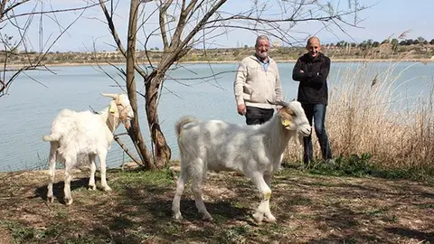 cabres estany portada