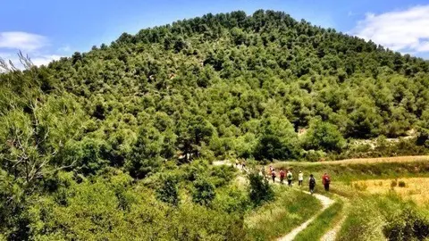 Una de les caminades organitzades per FootPatrol