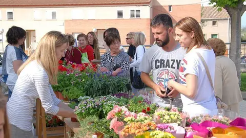 L'Associació de Dones de Sidamon treuen les flors a la plaça.