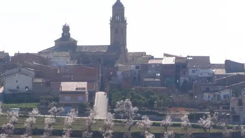 Foto ametllers florits a la Granadella