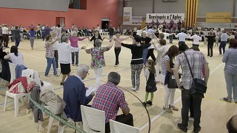 Aplec de la Sardana de Mollerussa de l'edició 2014.