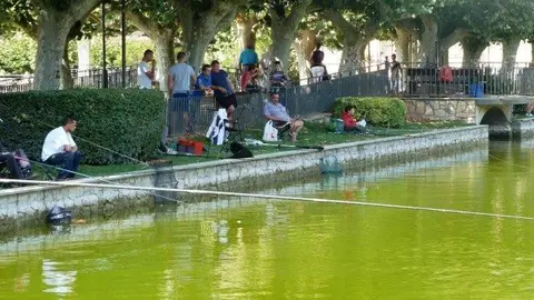 XI Marató de Pesca al Terrall