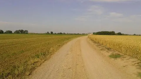 Camí del Palau d'Anglesola.