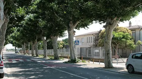 Imatge de l'avinguda Sant Roc del Palau d'Anglesola