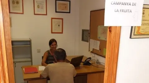 Campanya de la fruita 2015 a les Borges T