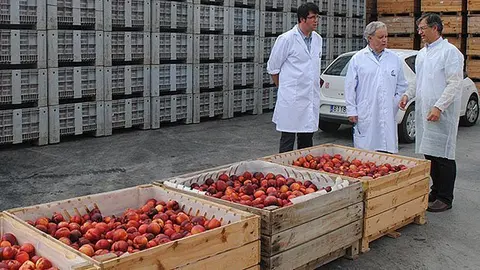 Joan Girona visita la planta de Nufri a Mollerussa.