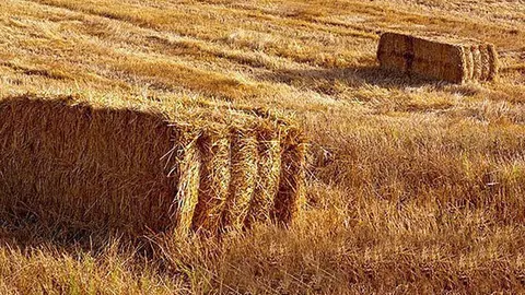 Calderes de biomassa que utilitzen la palla