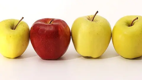 Recuperen les varietats Golden i Granny Smith, per elaborar sidra