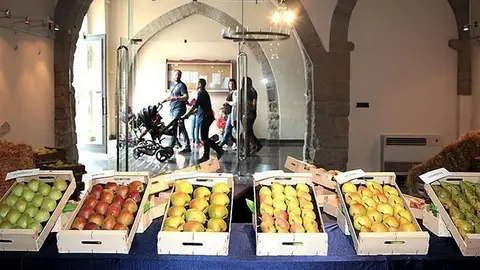 la mostra de varietats enFira de la Poma Barbens