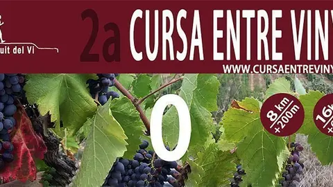 Cursa Entre Vinyes El Vilosell Dorsal 0