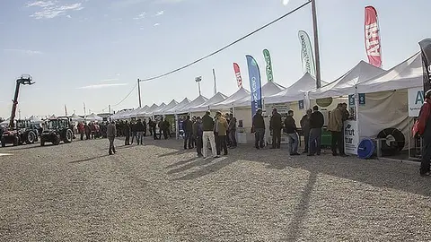 Prop d'un centenar d'empreses participen en la XX Jornada Fructícola de l'Irta