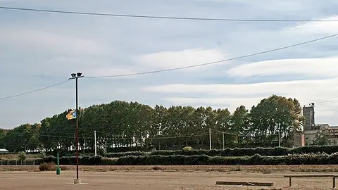 Imatge del salt de la Farinera i els plataners que es tallaran per convertir l'espai en zona verda