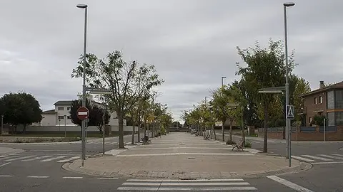 Avinguda de la Sardana Arbrat portada