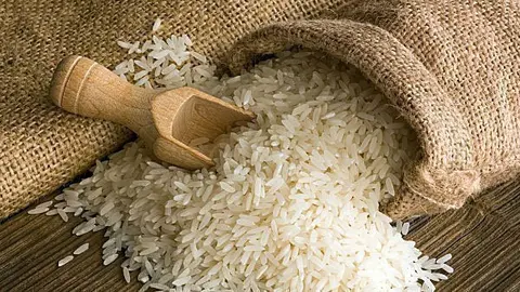 arroz portada