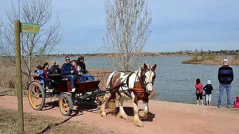 Activitats en l'Estany d'Ivars i Vila-sana