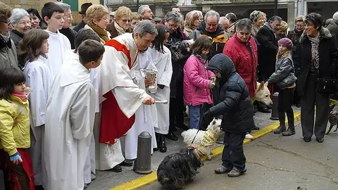 Benedicció dels animals en la festa de Sant Antoni de Linyola