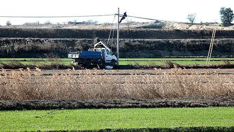 Robatori de cable de telefonia a Castellnou de Seana