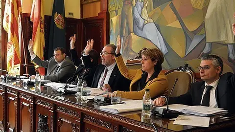 Ple de la Diputació de Lleida