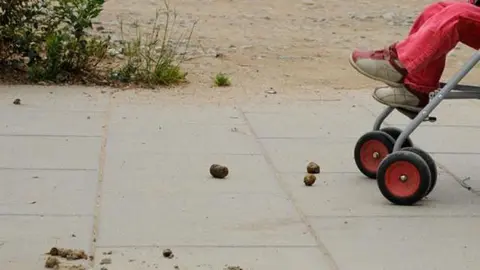 Excrements de gossos als carrers